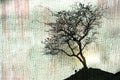 Beautiful tree silhouette and grunge background Royalty Free Stock Photo