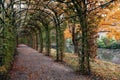 The beautiful tree tunnel in the garden of the Castle Arcen Royalty Free Stock Photo