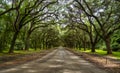 Beautiful country road lined with oak trees in Wormsloe State Historic Site in Savannah, Georgia Royalty Free Stock Photo