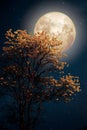 Beautiful tree yellow flower blossom with milky way star in night skies full moon