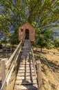 Beautiful treehouse in the garden