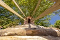 Beautiful treehouse in the garden