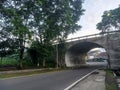 Beautiful trees and aspalt road