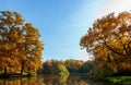 Beautiful trees with colorful autumn leaves around a lake in an old park, seasonal landscape with copy space Royalty Free Stock Photo