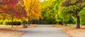 Beautiful trees in fall colors. Autumn landcape in a city park Royalty Free Stock Photo