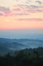 Misty Forest at Sunrise Royalty Free Stock Photo