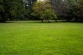 Beautiful trees and green grass in the garden