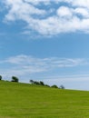 Beautiful trees grow on a green hill under a clear blue sky. Picturesque spring landscape, nature of Ireland. A copy space. Green Royalty Free Stock Photo