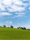 Beautiful trees on a hill, blue sky. Picturesque spring landscape, nature of Ireland. A copy space. Green grass field under blue Royalty Free Stock Photo