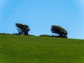 Beautiful trees, hill. Picturesque spring landscape, nature of Ireland. A copy space. Green grass field under blue sky Royalty Free Stock Photo