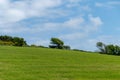 Beautiful trees on a hill, sky. Picturesque spring landscape, nature of Ireland. A copy space. Green grass field under blue sky Royalty Free Stock Photo