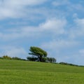 Beautiful trees, hill, sky. Picturesque spring landscape, nature of Ireland. A copy space. Green grass field under blue sky Royalty Free Stock Photo