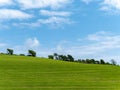 Beautiful trees on a hill under a clear blue sky. Picturesque spring landscape, nature of Ireland. A copy space. Green grass field Royalty Free Stock Photo