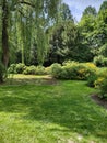 Beautiful trees in Krakow Botanical Garden Royalty Free Stock Photo