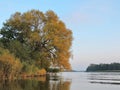 Beautiful trees near Atmata river , Lithuania Royalty Free Stock Photo
