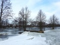 Beautiful trees near river , Lithuania Royalty Free Stock Photo