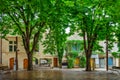 Beautiful trees in summer on a square in the old town of Saint-Remy-de-Provence, Provence France Royalty Free Stock Photo