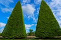 Beautiful trees trimmed into various shapes.