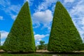 Beautiful trees trimmed into various shapes.