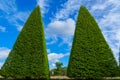 Beautiful trees trimmed into various shapes.