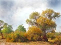 Beautiful trees turanga in the steppe Royalty Free Stock Photo