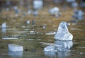 Beautiful triangular piece of ice and its reflection on a frozen lake with bokeh effect, Gredos