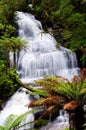 Beautiful Triplet falls Royalty Free Stock Photo