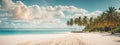 Beautiful tropical beach banner. White sand and coco palms travel tourism wide panorama background concept. Amazing beach landscap Royalty Free Stock Photo