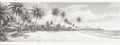 Beautiful tropical beach banner. White sand and coco palms travel tourism wide panorama background concept. Amazing beach landscap Royalty Free Stock Photo