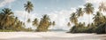 Beautiful tropical beach banner. White sand and coco palms travel tourism wide panorama background concept. Amazing beach landscap Royalty Free Stock Photo