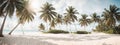 Beautiful tropical beach banner. White sand and coco palms travel tourism wide panorama background concept. Amazing beach landscap Royalty Free Stock Photo