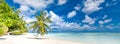 Beautiful tropical beach banner. White sand, coco palms travel tourism wide panorama background concept. Amazing beach landscape Royalty Free Stock Photo