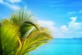 Beautiful tropical beach, blue sea water, white clouds, horizon background, green palm tree leaves closeup, exotic paradise island Royalty Free Stock Photo