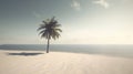 Beautiful tropical beach with coconut palm tree - Vintage Filter and Boost up color Processing