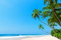 Beautiful tropical beach with coconut palm trees, idyllic clean ocean white sand Royalty Free Stock Photo