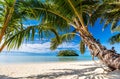 Beautiful tropical beach at exotic island in Pacific Royalty Free Stock Photo