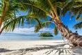 Beautiful tropical beach at exotic island in Pacific Royalty Free Stock Photo