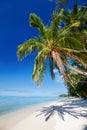 Beautiful tropical beach at exotic island in Pacific Royalty Free Stock Photo