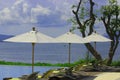 Beautiful tropical beach front hotel resort with swimming pool, umbrella, coconuts tree sun-loungers, palm trees during a warm sun Royalty Free Stock Photo