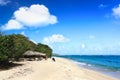 Beautiful tropical beach Maguana , Cuba Royalty Free Stock Photo