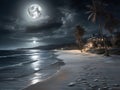 Beautiful tropical beach at night in full moon light. Palm trees on the shore. Royalty Free Stock Photo