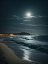 Beautiful tropical beach at night in full moon light. Palm trees on the shore. Royalty Free Stock Photo