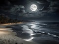 Beautiful tropical beach at night in full moon light. Palm trees on the shore. Royalty Free Stock Photo