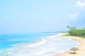 Beautiful tropical beach with nobody, palm trees and golden sand top view. Wave roll into beach with white clean foam. Royalty Free Stock Photo