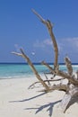 Beautiful tropical beach