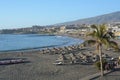 Beautiful tropical beach with palm tree. Tenerife.Canary Islands.Spain. Royalty Free Stock Photo