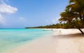 Beautiful tropical beach with palm trees in the afternoon Royalty Free Stock Photo