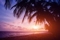 Beautiful tropical beach with palm trees. Sunrises and sunsets. Ocean Royalty Free Stock Photo