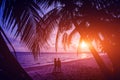 Beautiful tropical beach with palm trees. Sunrises and sunsets. Ocean Royalty Free Stock Photo