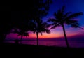 Beautiful tropical beach with palm trees. Sunrises and sunsets. Ocean. Royalty Free Stock Photo